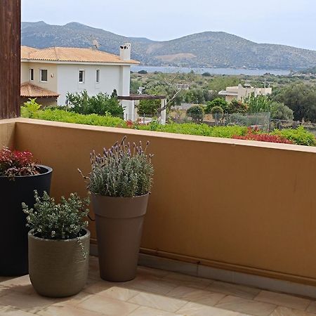 Lida Garden Villa Anavyssos Exteriör bild